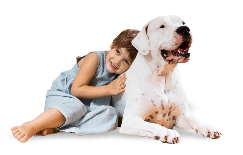 Physiotherapy for best sale dogs near me